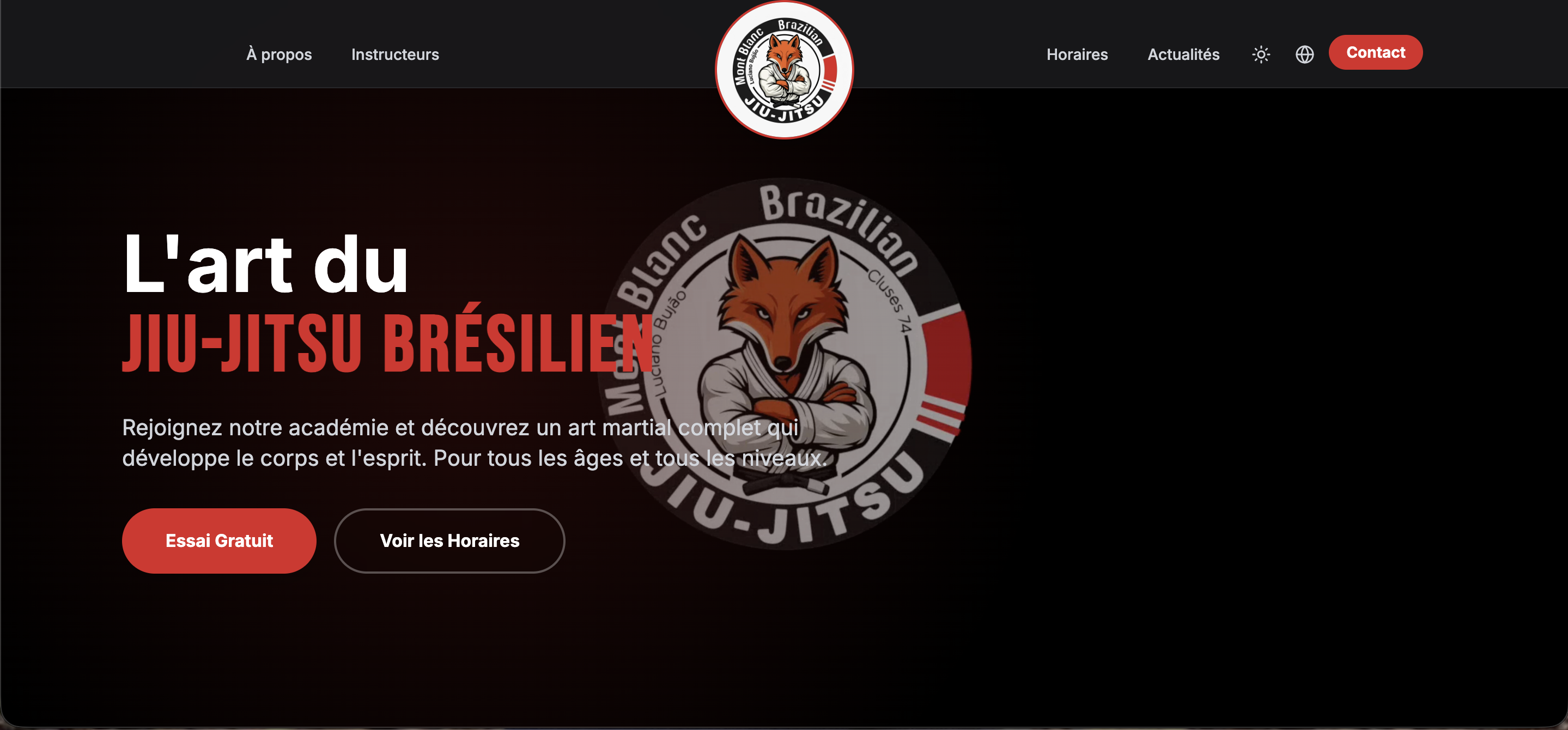 Projet Mont-Blanc Brasilian Jiu-Jitsu - Capture d'écran